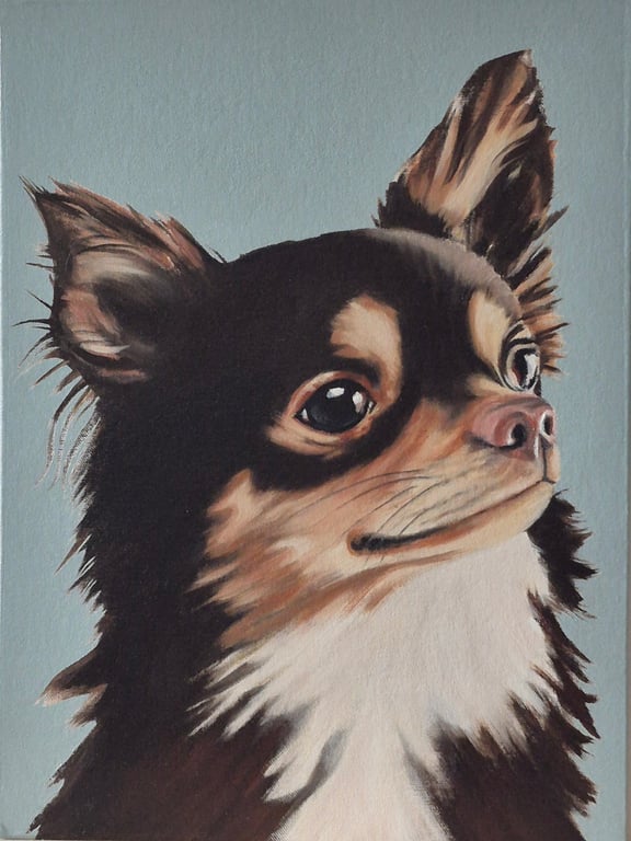 Chihuahua portrait. Oil on board. 40.5 x 30.5 cm