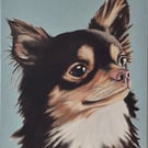 Chihuahua portrait. Oil on board. 40.5 x 30.5 cm