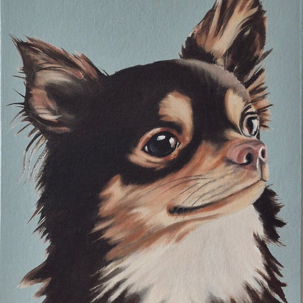 Chihuahua portrait. Oil on board. 40.5 x 30.5 cm