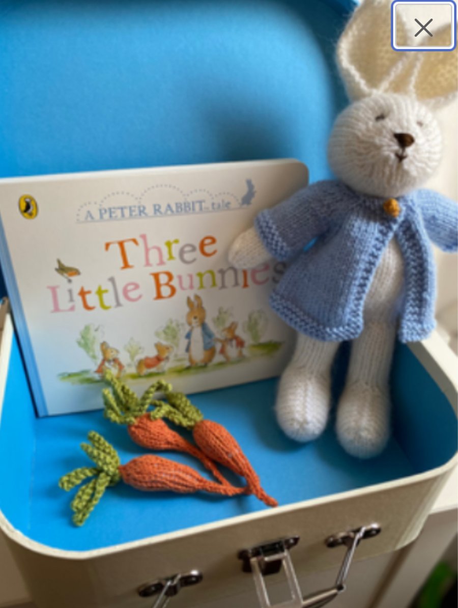 Hand knitted Peter Rabbit with story book in a carry case
