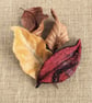 Felted leaf brooch : red - Image 6
