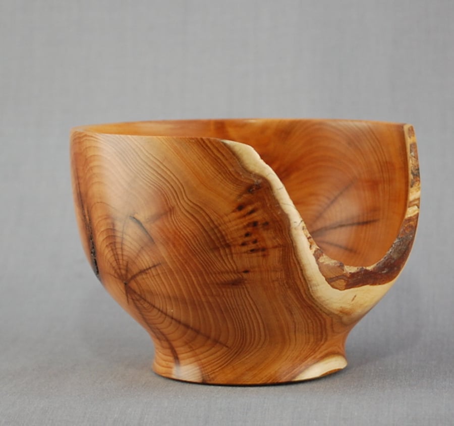 Fascinating Vessel in English Yew