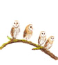 Four Owls, One Branch - Fine Art Print