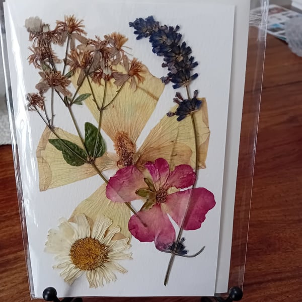 Wild Daisy, Lime Holly-hock, wild flower and lavender Pressed Flower card