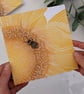 Sunflower and Bee Note Card set, Sunflower Greetings Card - Image 3