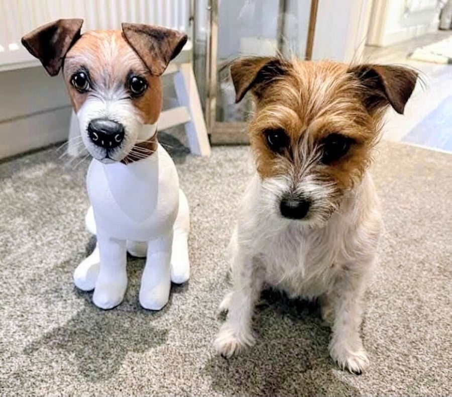 Fully Personalised Jack Russell 