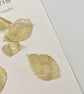 Metallic Gold Silk Organza leaves - Image 1