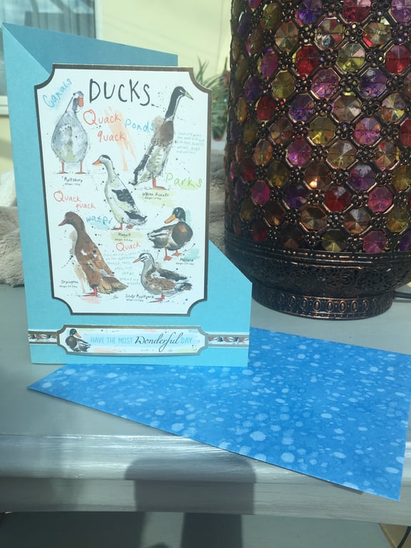 Ducks having the most wonderful day card