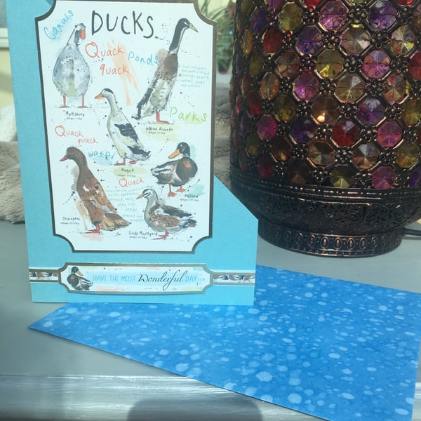Ducks having the most wonderful day card