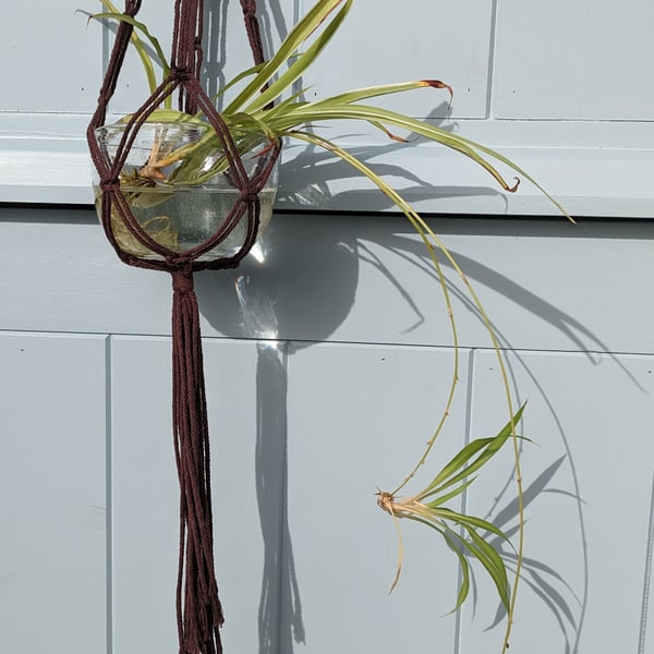  Macramé Hanging Basket Plant Pot Holder Handmade in Wales in Natural Materials