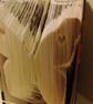 Butterfly with Hearts MMF Book Folding Pattern - EMAILED PDF PATTERN - Image 6
