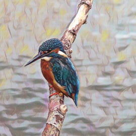 Kingfisher Greeting Card Hopefully A Fish Soon