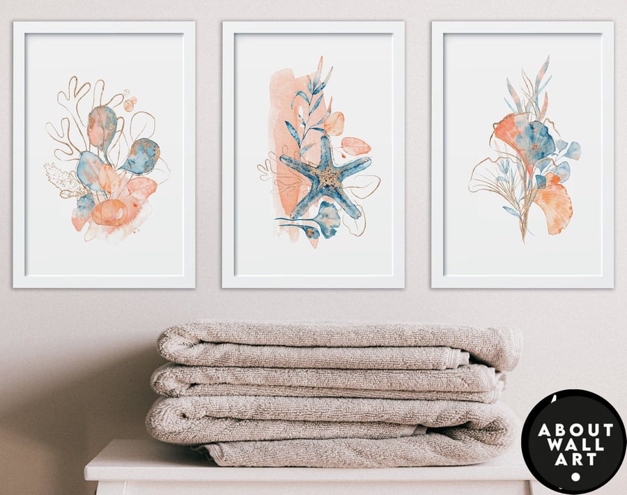 Seashell art print set of 3, beach nursery decor, Spa bathroom decor, Coastal de