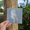 Barn owl card