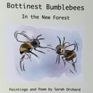 Bottinests Bumblebees