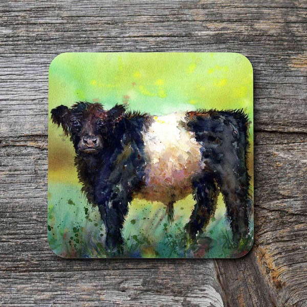 Belted Galloway cow, Scottish Art Coaster