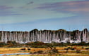 New Forest Pictures