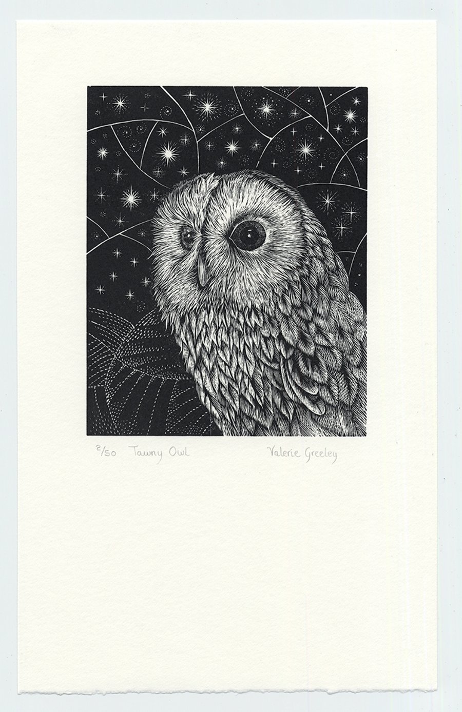 Tawny Owl wood engraved original print by Valerie Greeley