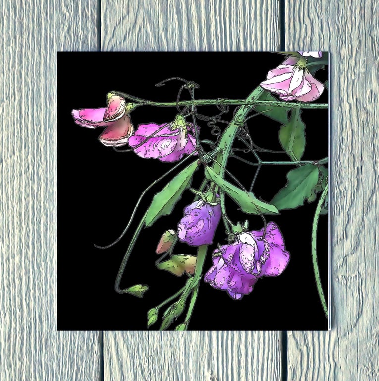 Tangled Sweet Peas, Greetings Card