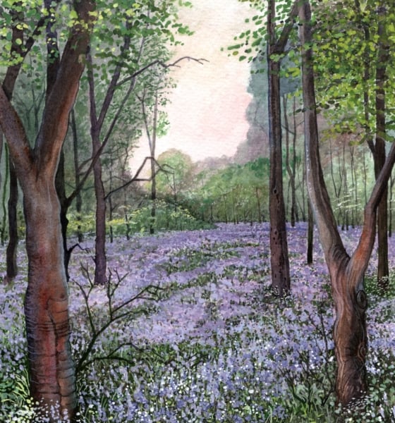 Bluebell Wood, Upper Pendeford - ORIGINAL PAINTING