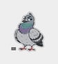 Funny Vinyl Die Cut Sticker For Adults - Cheeky Pigeon