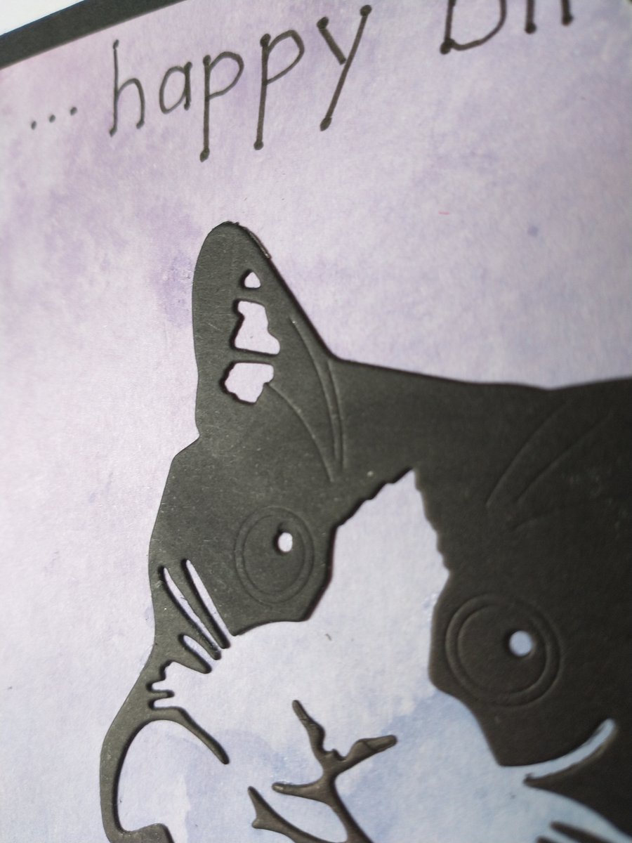 Cute cat birthday card