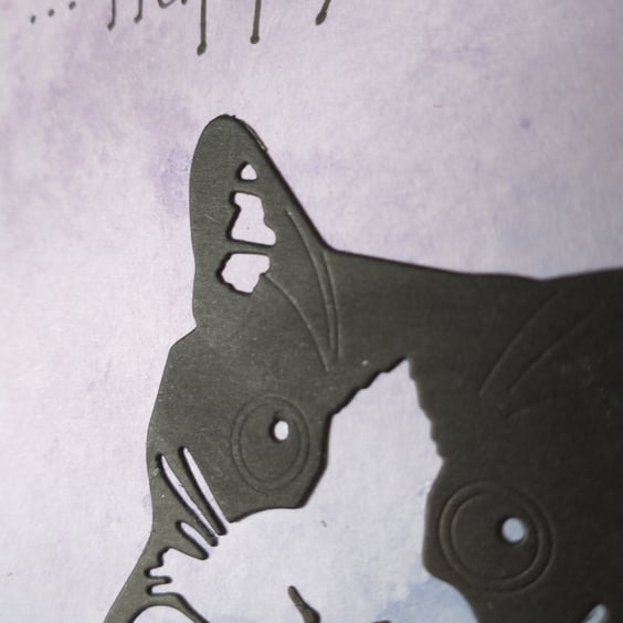 Cute cat birthday card