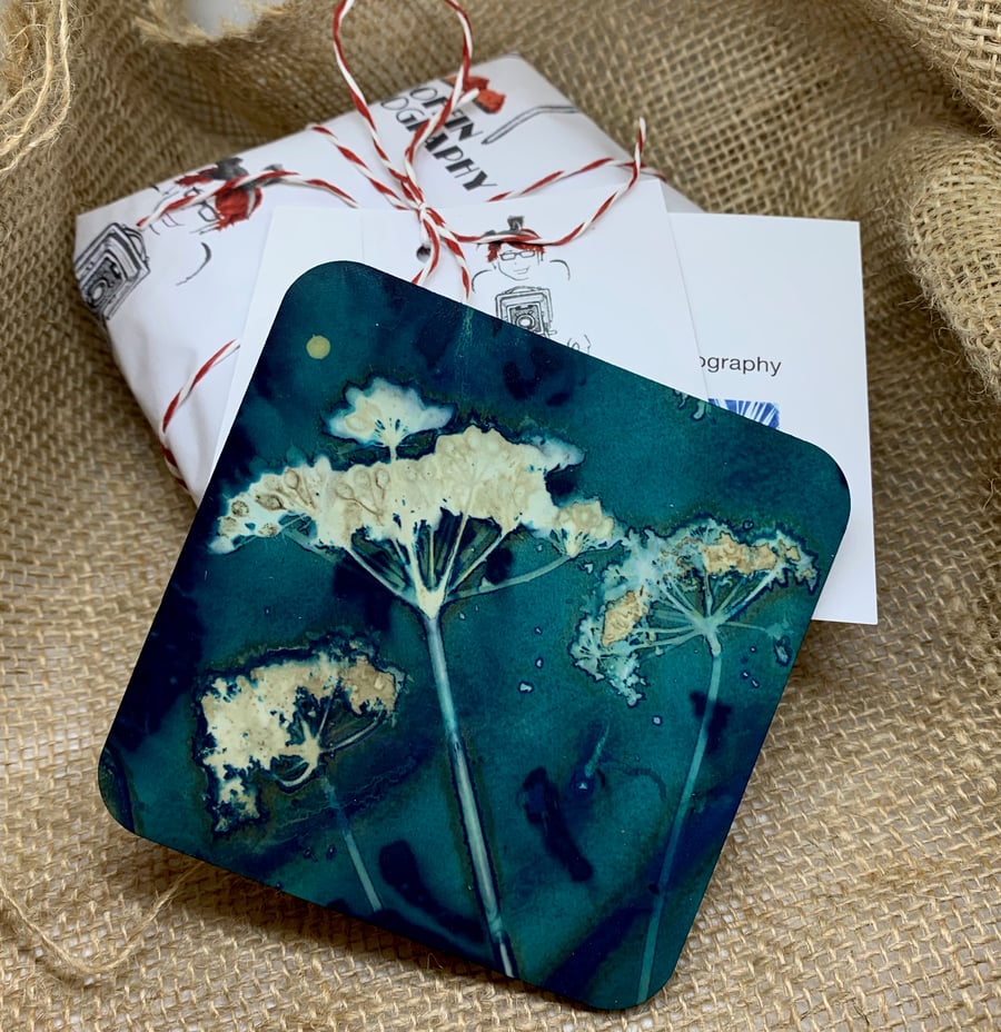 Cyanotype Coasters (Set of 4)