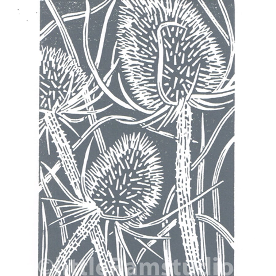 Charcoal grey Teasel - Hand cut Linocut Print