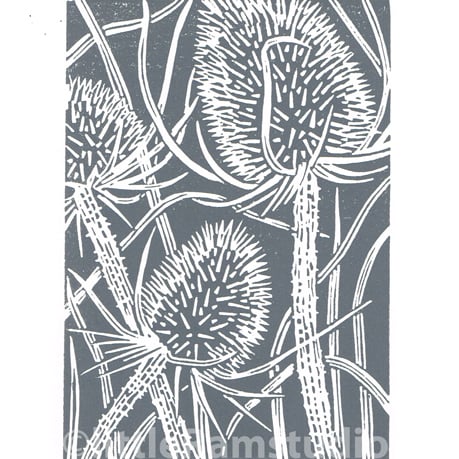 Charcoal grey Teasel - Hand cut Linocut Print