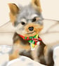 Pet portraits to order - Image 3