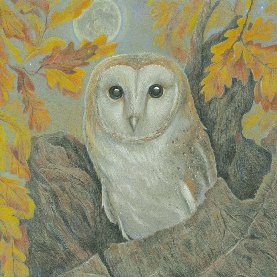 Golden Oak Owl Greetings Card