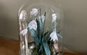 Paper flowers and mushrooms