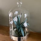 Limited edition silver snowdrops