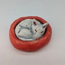 Yorkshire Pudding - English Bull Terrier