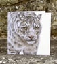Greetings Card - Blank - Snow Leopard - Image 2
