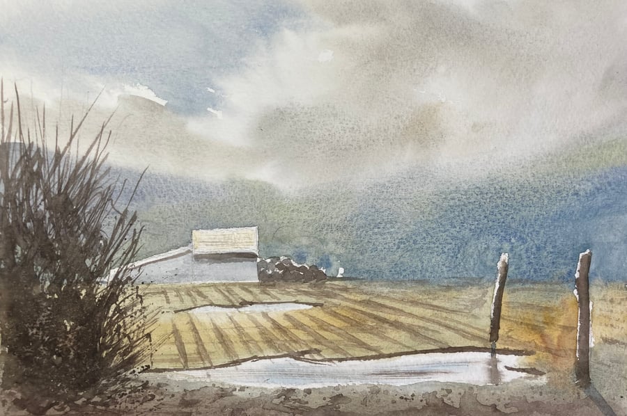 Ingelby plantation (Pure Original Watercolour)