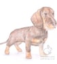 Hattie the Dachshund - Blank Card - Image 1