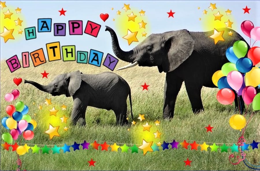 A5 Elephants Birthday Card 