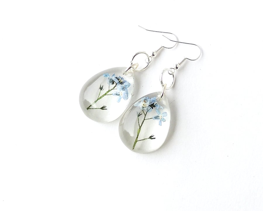 Forget me Not Flower Earrings - 934