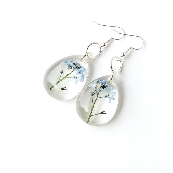 Forget me Not Flower Earrings - 934