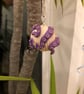 Creature Of The Deep Purple Polymer Clay Tentacle Pendant - Image 2