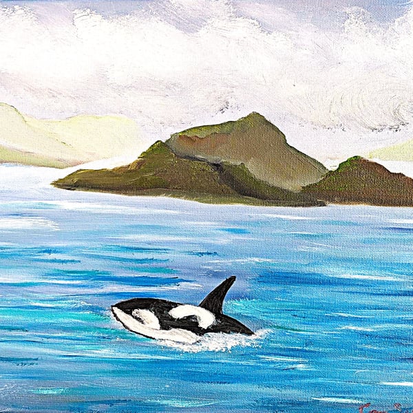 Scottish Northern Isles Coast Orca breeching, original Oil Painting