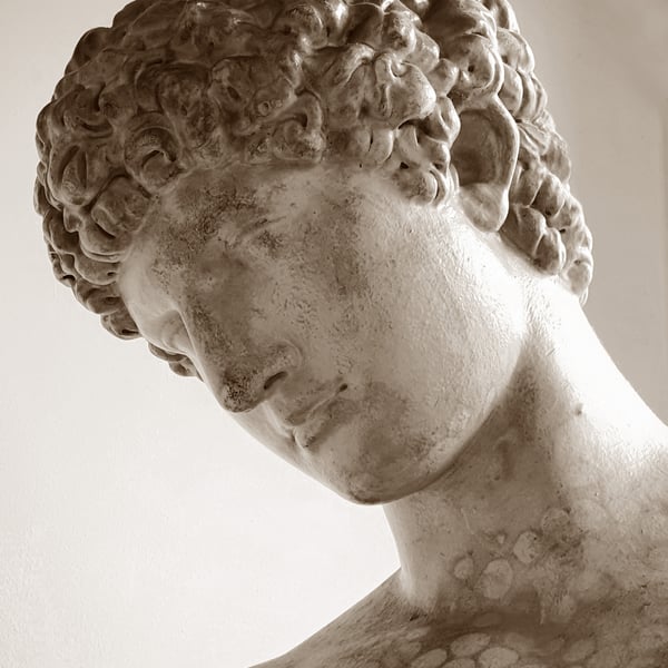 Archival photo print, Fine art archival, Cast of Antinous. 