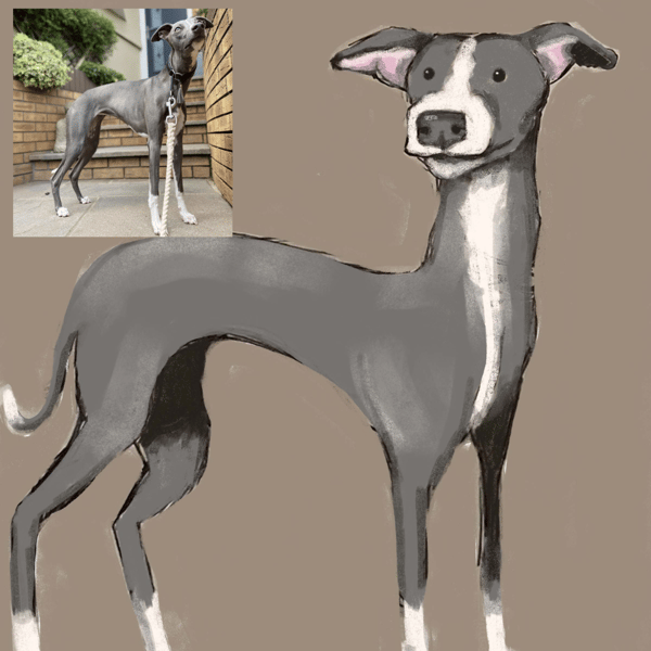 Pet portrait, caricature. Custom stylised representation of your dog, cat, pet
