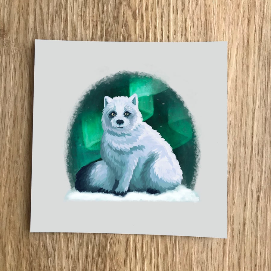 Arctic Fox Square Post Card Print