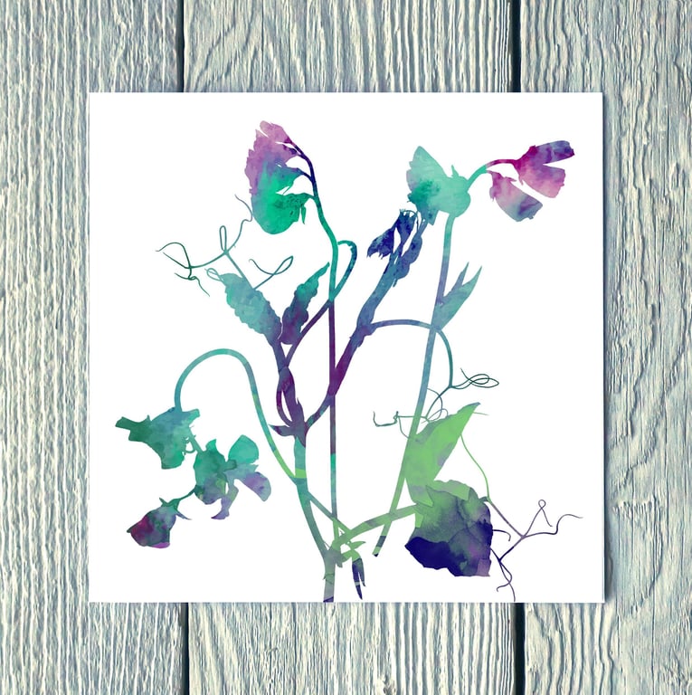 Sweet Peas No.1, Greetings Card