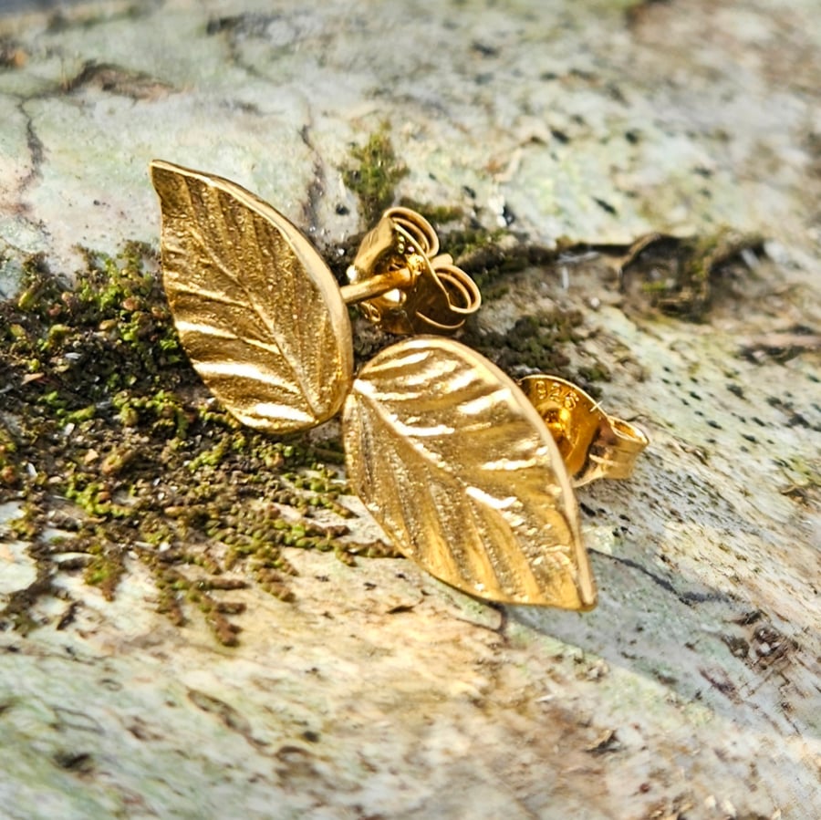 Golden Beech Leaf Studs