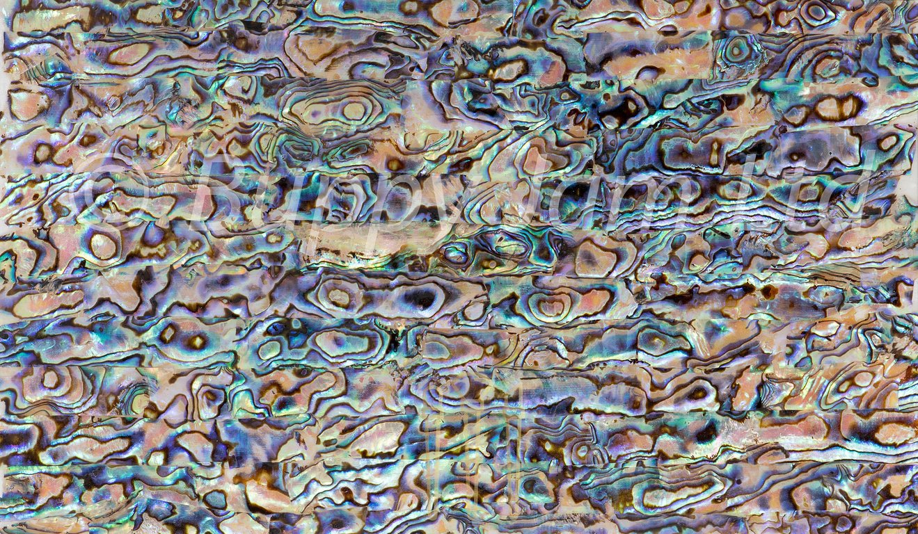 Abalone Sheet Lilac 240mm x 140mm - HM005