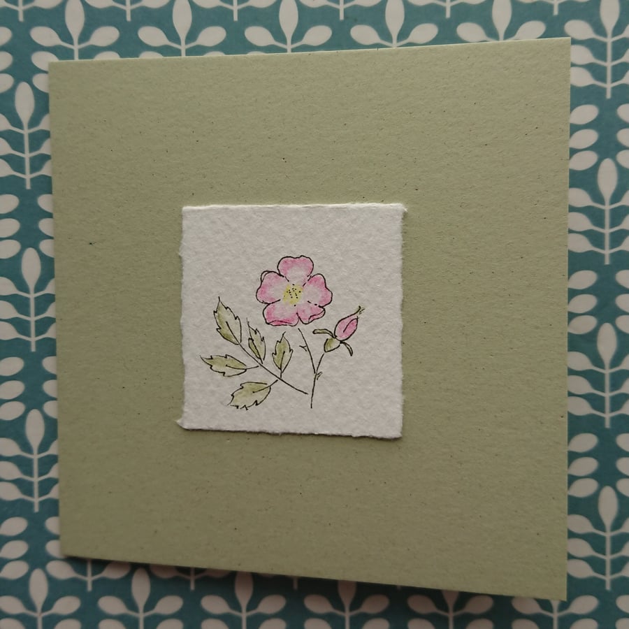 Handmade card - Dog Rose - recycled - blank inside for your message